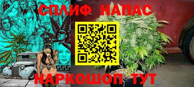 PSILOCYBIN Рыбинск