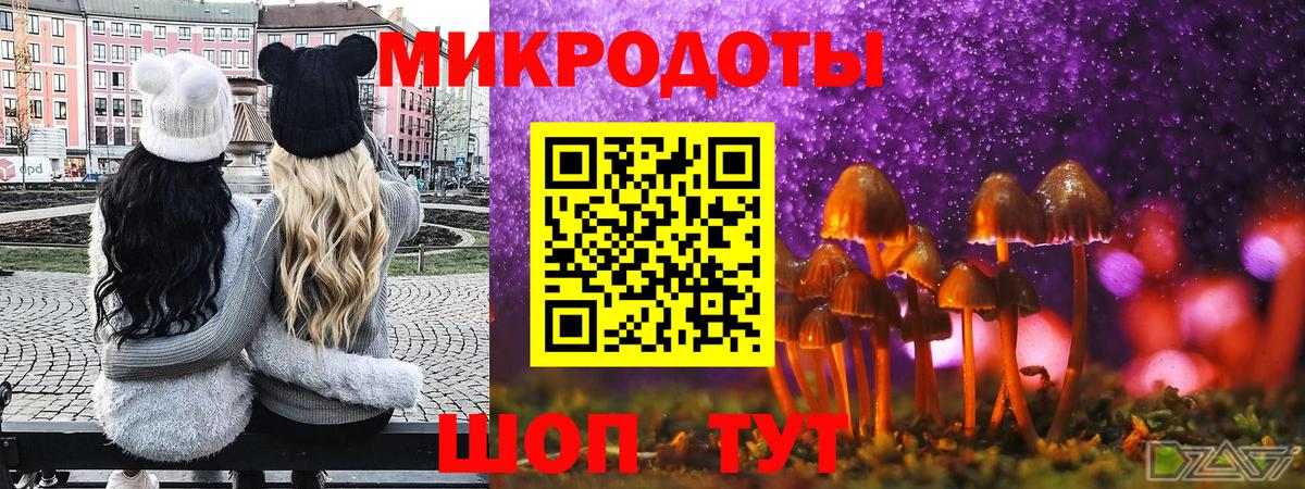 Псилоцибиновые грибы Psilocybe Первоуральск